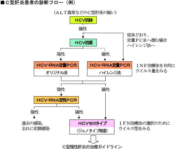 hcv rna 定量 検出 せ ず