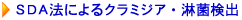 SDA�@�ɂ��N���~�W�A�E�ҋی��o