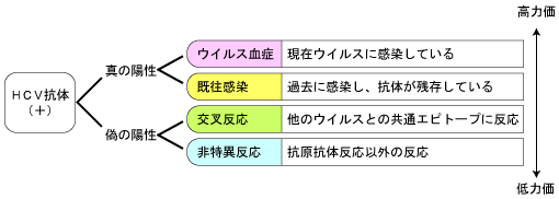 医師からC型肝炎検査を受ける