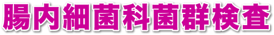 ׋ۉȋیQ